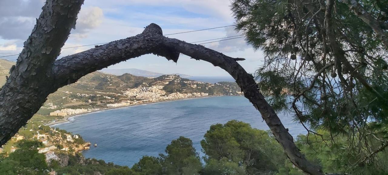 Rincon De Mar Apartment Almuñécar Екстериор снимка
